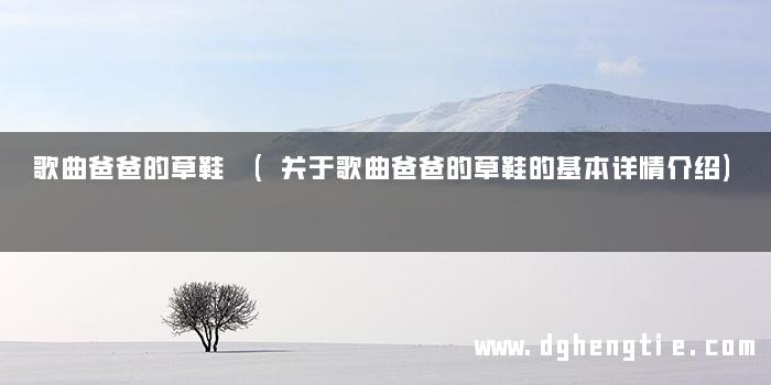 歌曲爸爸的草鞋 (关于歌曲爸爸的草鞋的基本详情介绍)